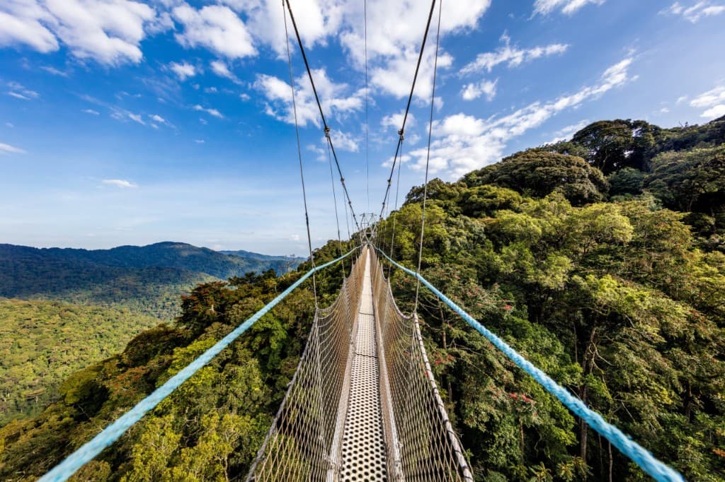 Nyungwe Forest National Park